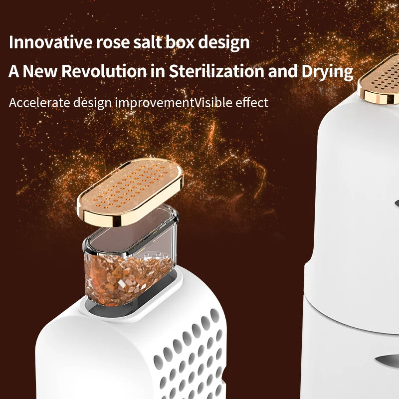 Elektrischer tragbarer Schuh-Trockner